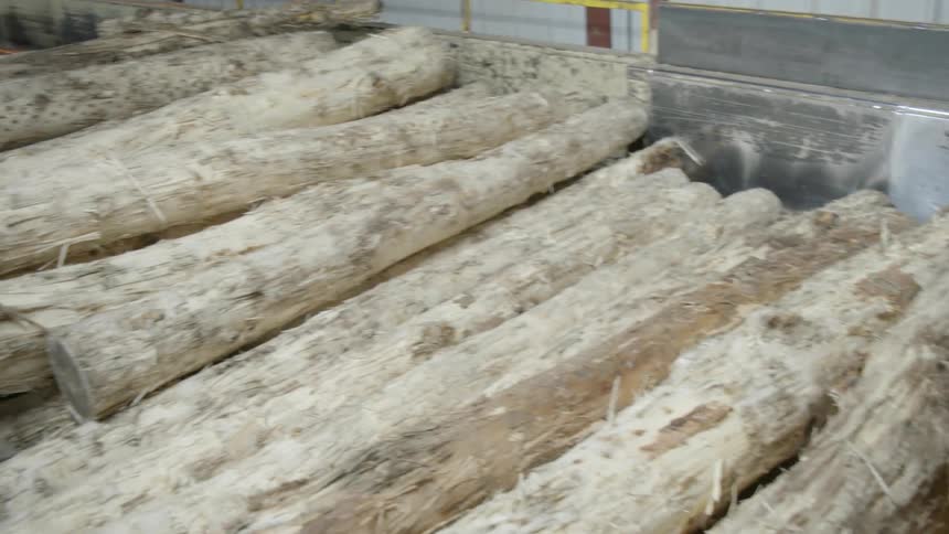 Logs stacked in a bin waiting for processing