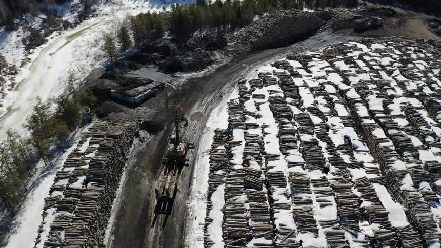 A tractor is working in a lumberyard in a natural setting in winter