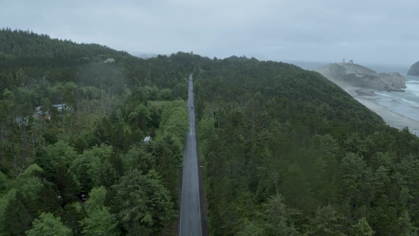 Several vehicles drive on a tree lined country road