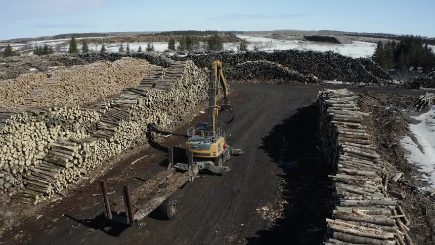 Crane drives in between to massive log piles