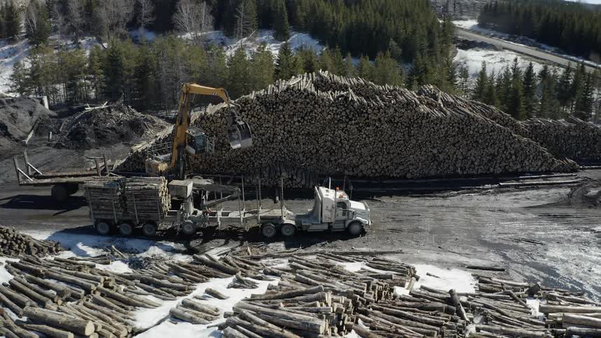 Crane picks logs up from a semi and puts them in a large pile