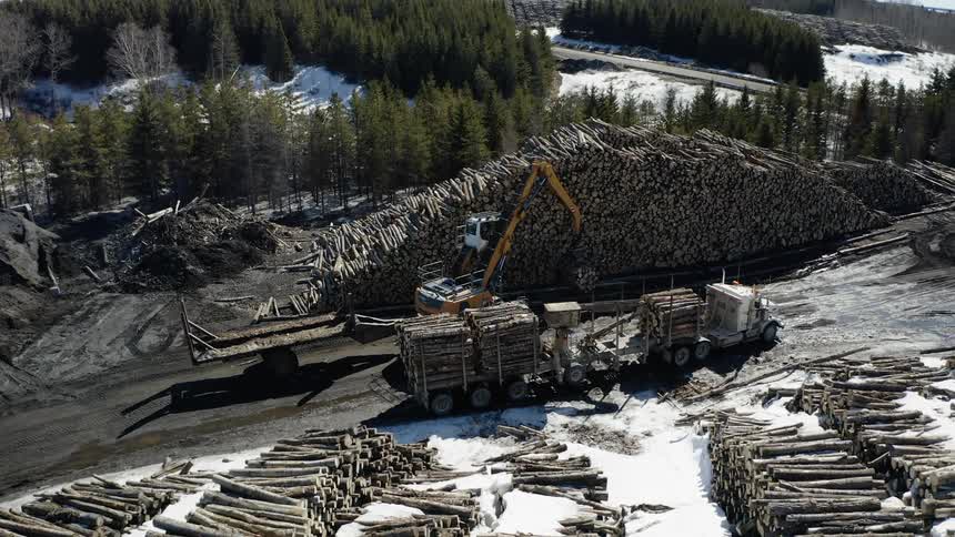 Crane picks logs up from a semi and puts them in a large pile