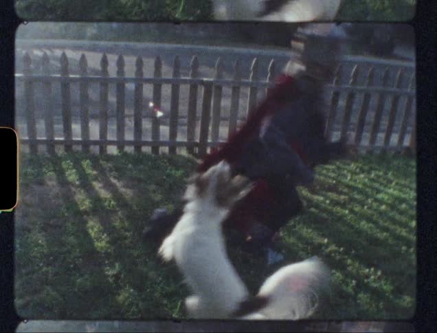 Boy in a costume plays with a dog in a front yard