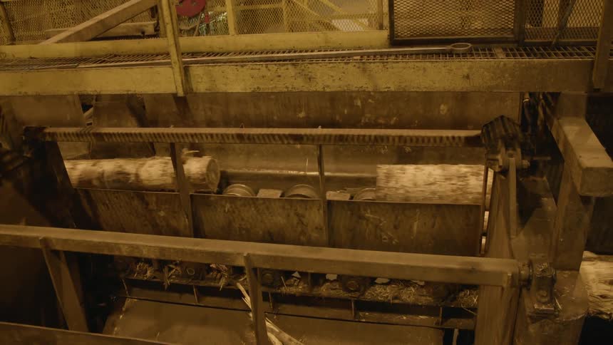 Logs are processed at a facility