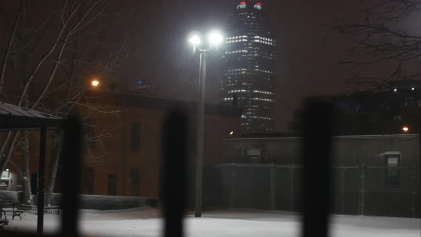 View of a city park at night