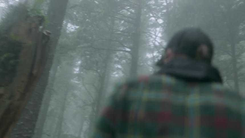 Person walks through the foggy woods