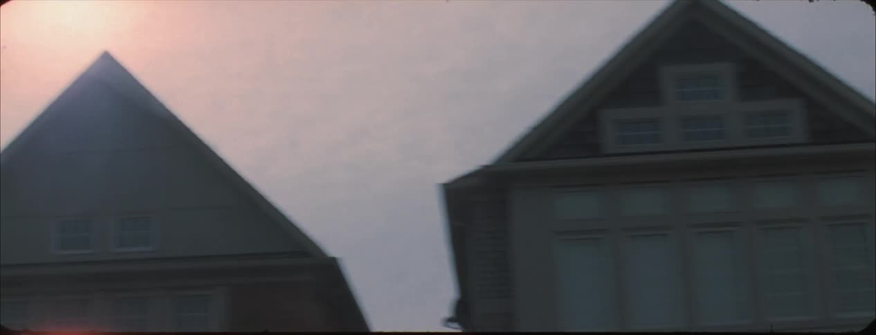 Bird flies over several houses and trees at sunset