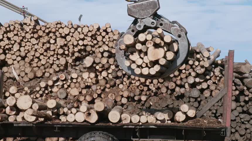 Crane lifts logs off of truck