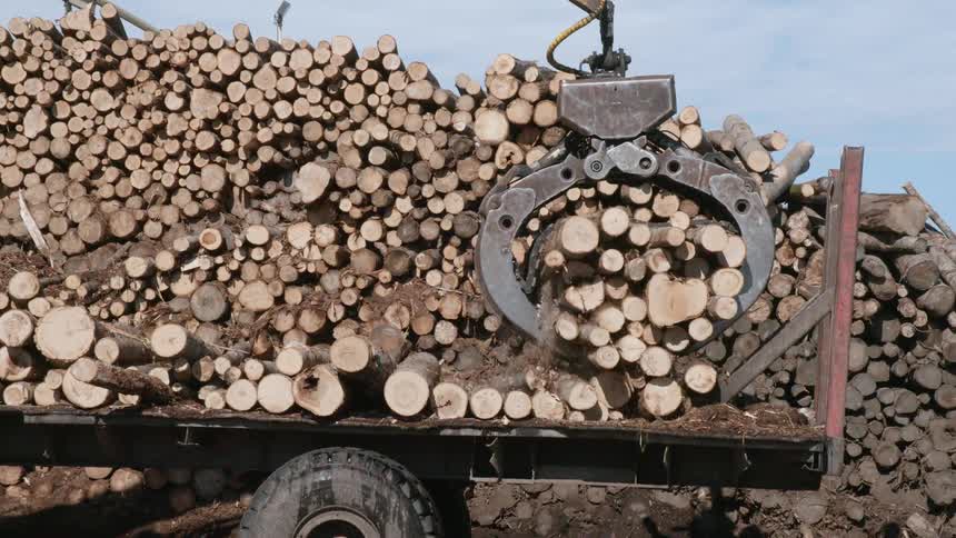 Timber is picked up off a truck in a lumber yard