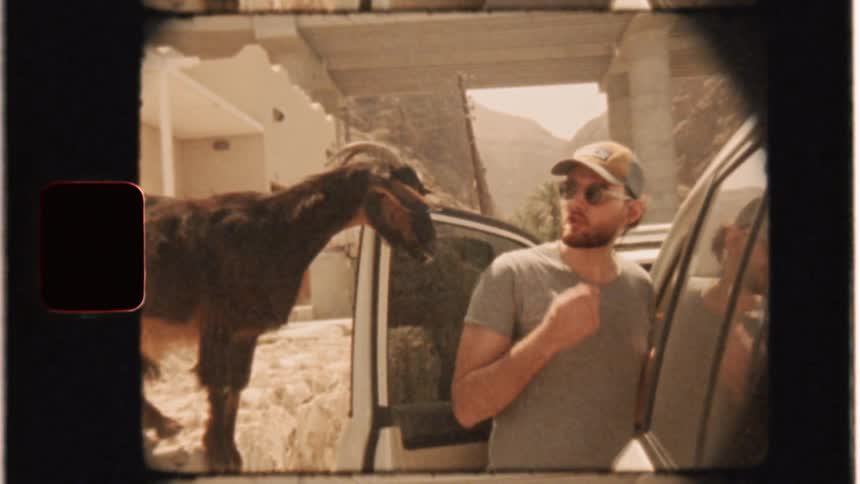 A goat on a wall tries to get the attention of man eating by a car