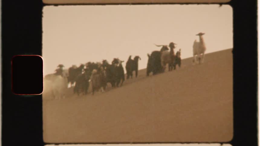 Men and animal herd walking in desert