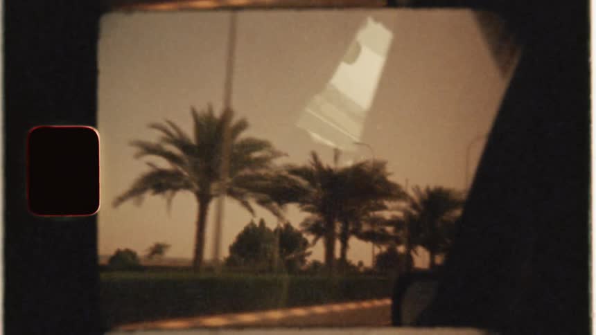 A car drives by palm trees