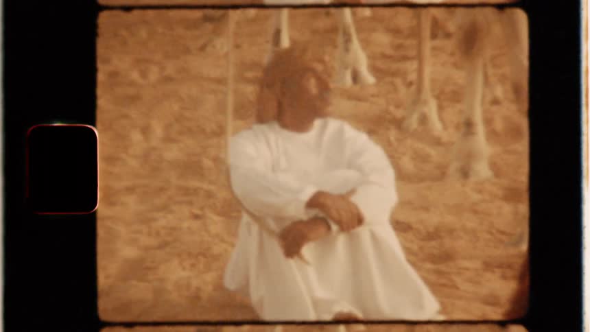 Man sits next to camels