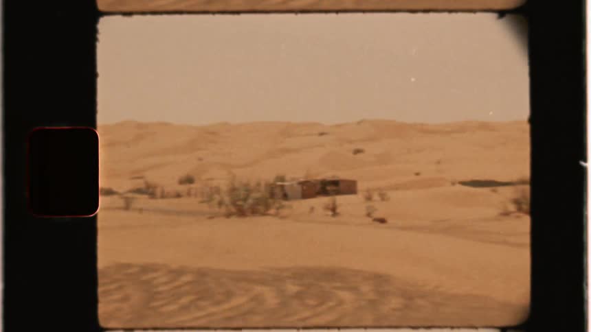 Building and camels in desert