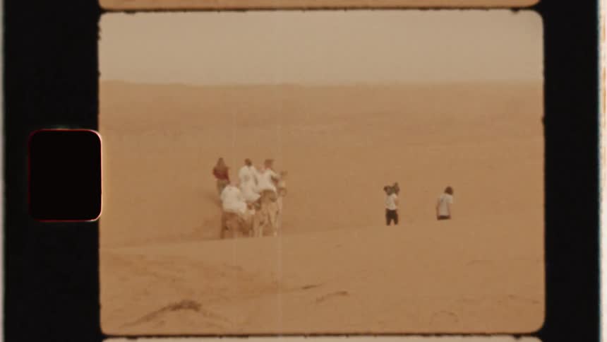 People lead camels in the desert