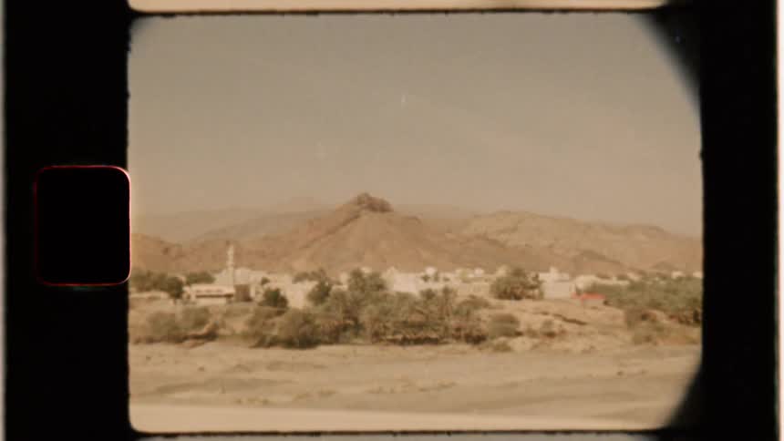 Trees and white  buildings in a desert