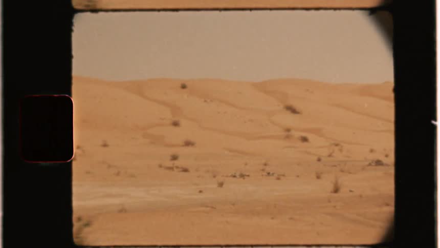 Sand dunes and brush in a desert