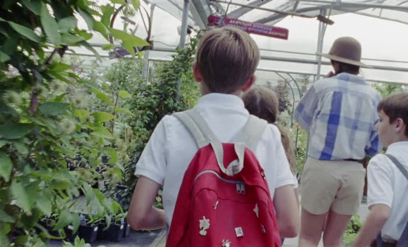 Schoolchildren walk through a greenhouse