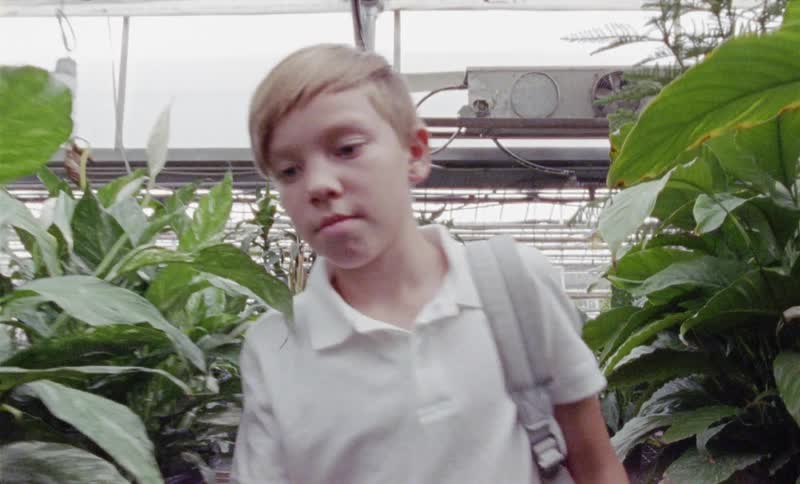 A boy touches plants as he walks through a greenhouse
