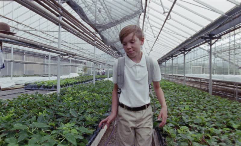 A young child walks through a greenhouse
