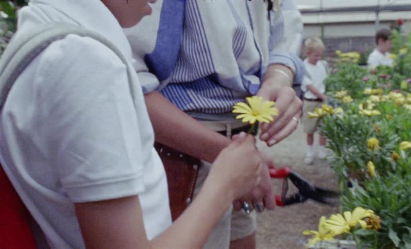 Woman gives a boy a flower in a greenhouse