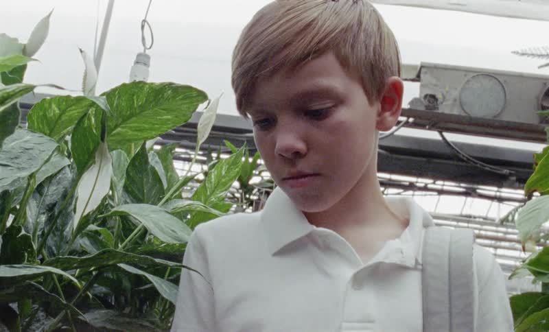 Young boy touches a plant in a greenhouse