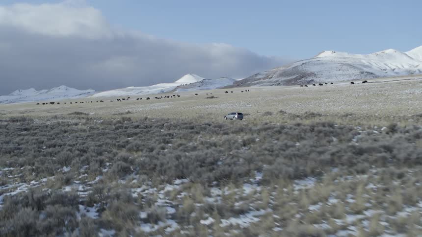 A truck drives down the rural road