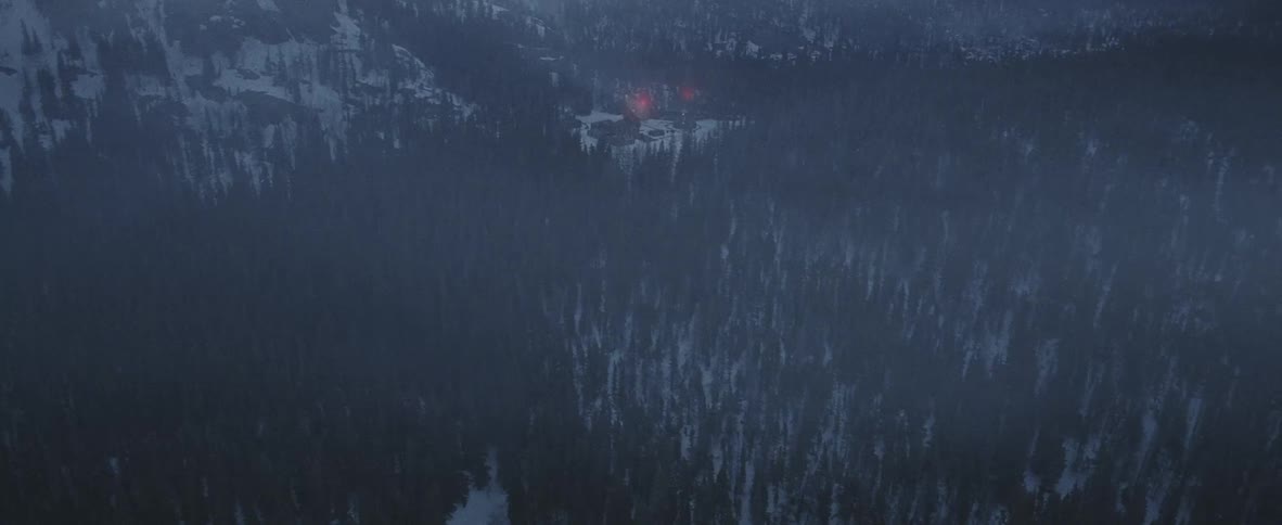 Overhead view of thousands of trees