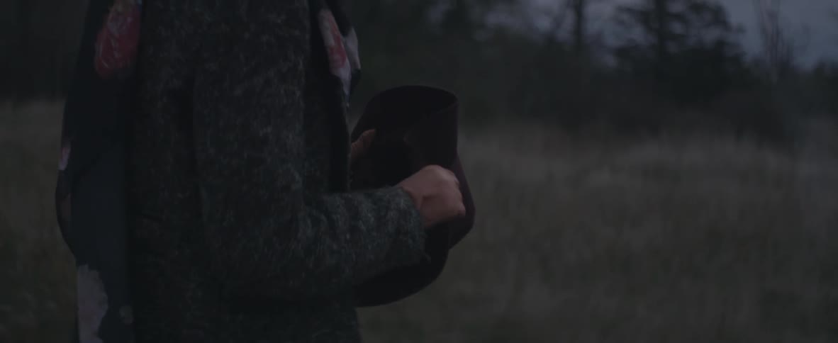 Woman clutches a hat and walks near a forest at twilight