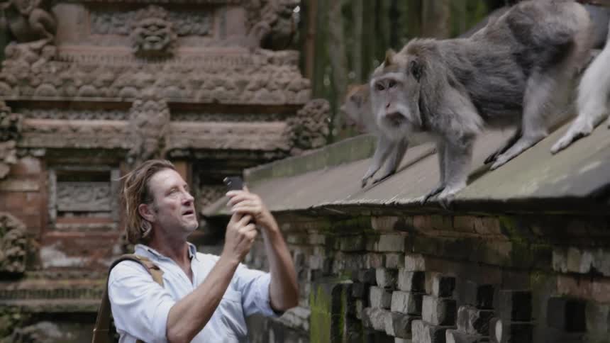 Man uses his cellphone to take a photo of animals on a rooftop
