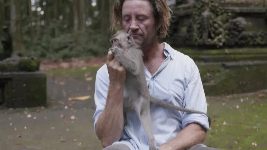 Small monkey jumping on a man trying to eat what he has in his hand