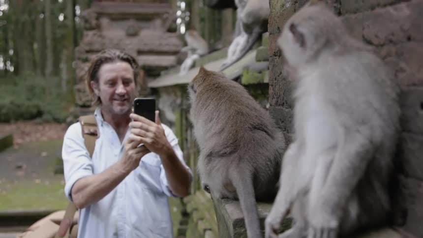 Man takes a photo with his cellphone of the animals on a ledge