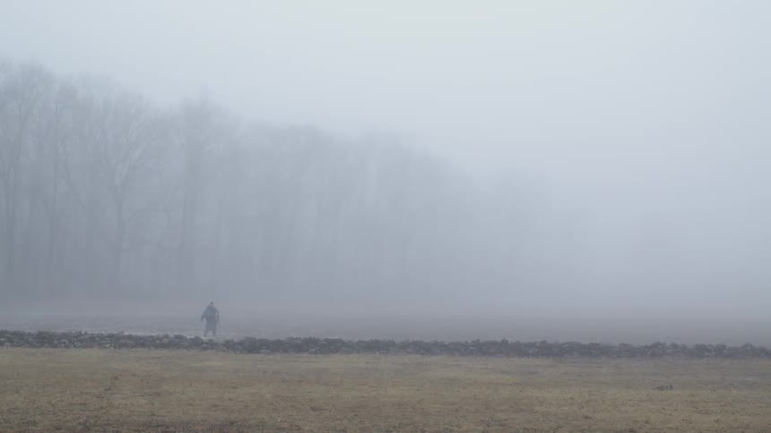 A person walks in a foggy field