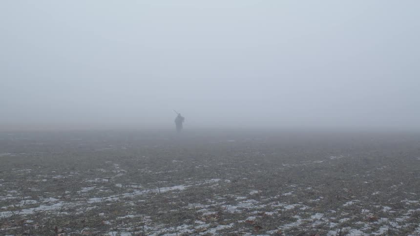 Person walks across a foggy field
