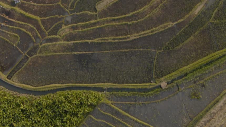 Farm fields are stretching out across a landscape in daylight