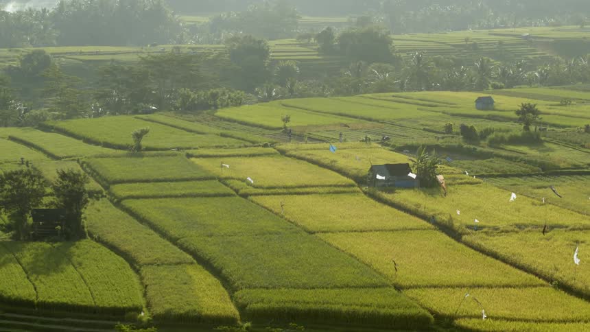 A farmhouse is surrounded by fields