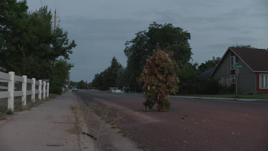 A person camouflaged in plants is walking in a suburban neighborhood in the morning