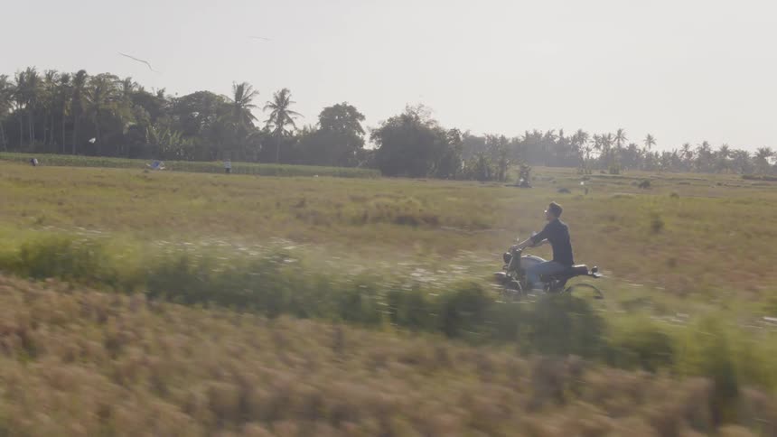 A motorcyclist rides in the countryside