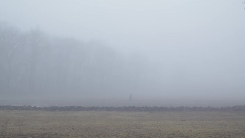 A person walks across a foggy field