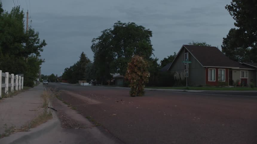 A person in a foliage camouflage suit walks down a road