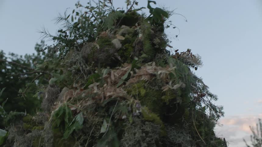 The person wearing camouflage is shaking the leaves on the suit