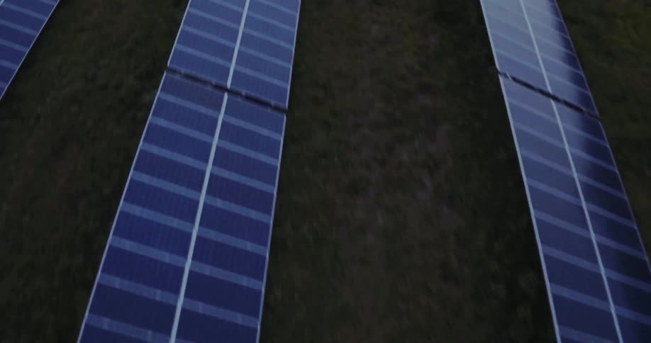 Solar panels sit in a field