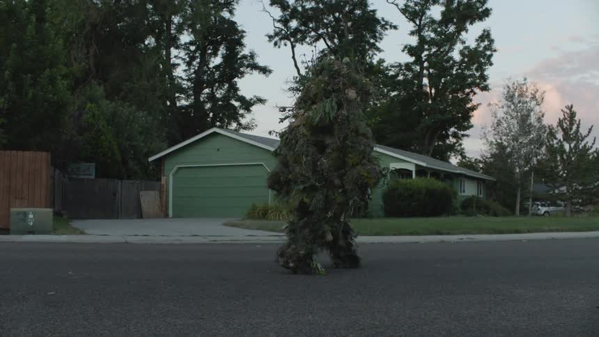 Person covered in leaves walks down a street in a neighborhood