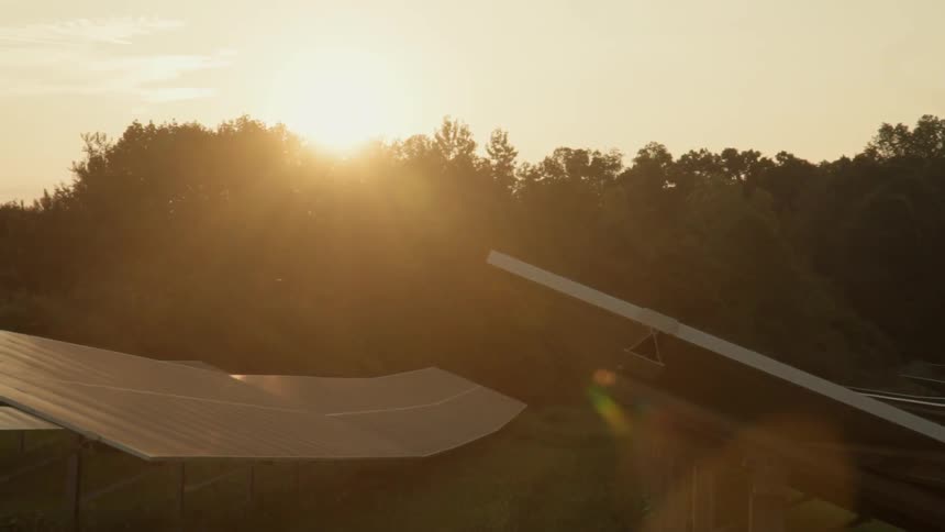 Solar panels sit in a field at sunset