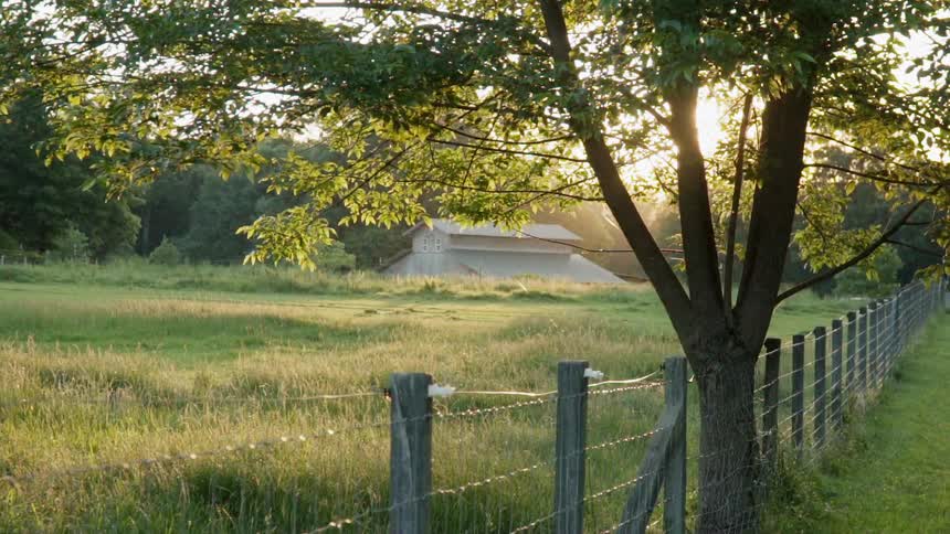 The sun is rising over the farm