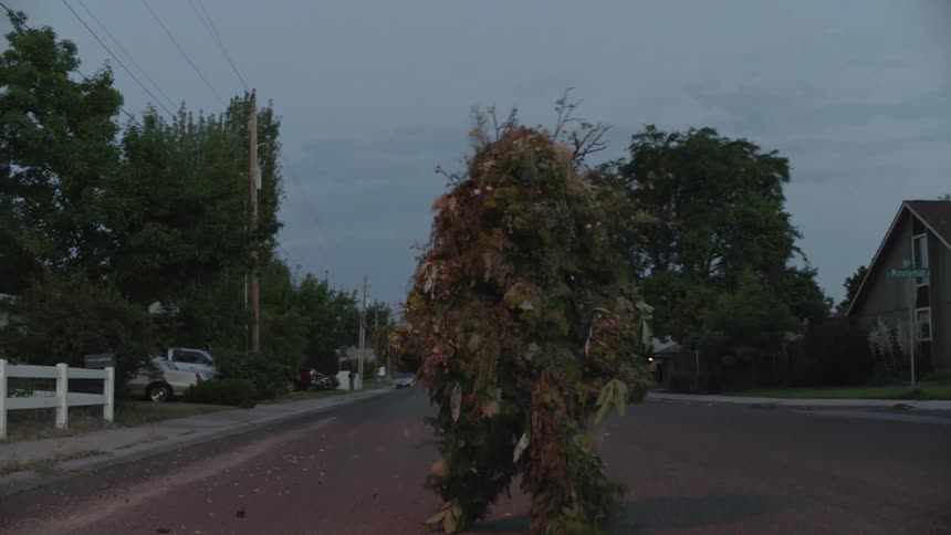 A plant creature walks on a neighborhood street