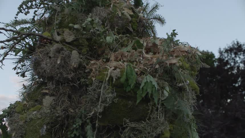 A person wearing a ghillie suit walks around outside