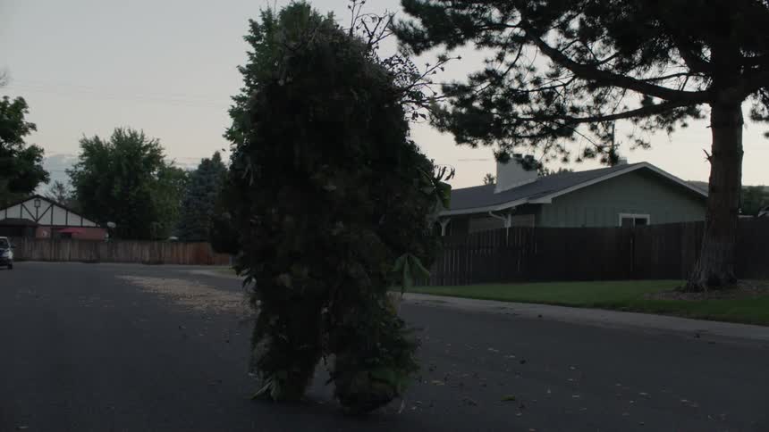 Person dressed as tree walks along suburban street