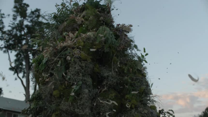 A plant creature walks on a residential street