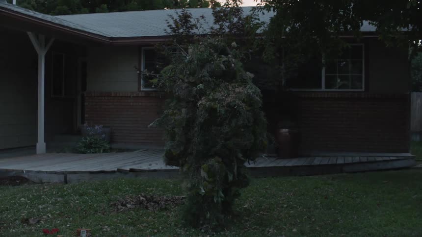 A plant creature walks towards a house